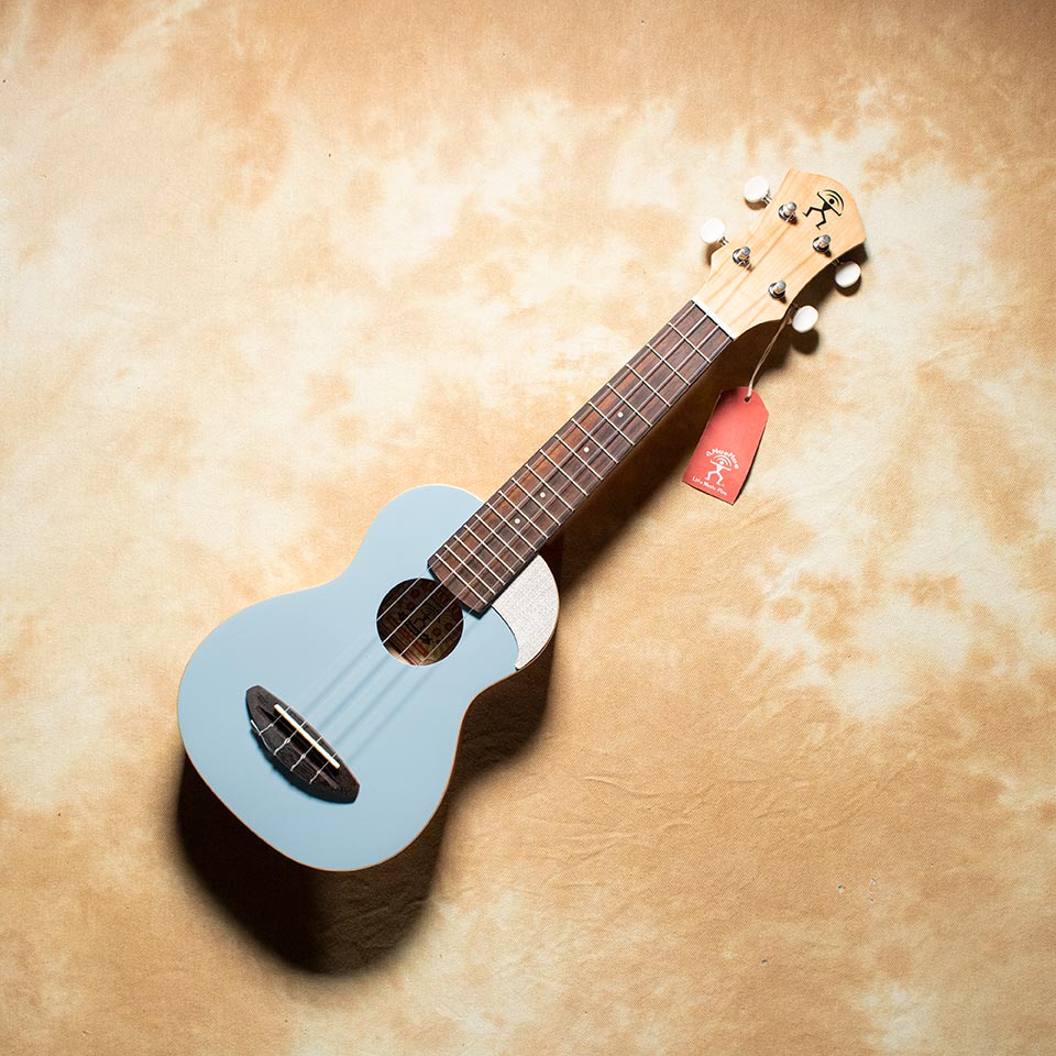 【美品】aNueNue アヌエヌエ MBS14E アコースティックベース アコベ 楽天市場】aNueNue aNN-MBS14E 新品[アヌエヌエ][ナチュラル