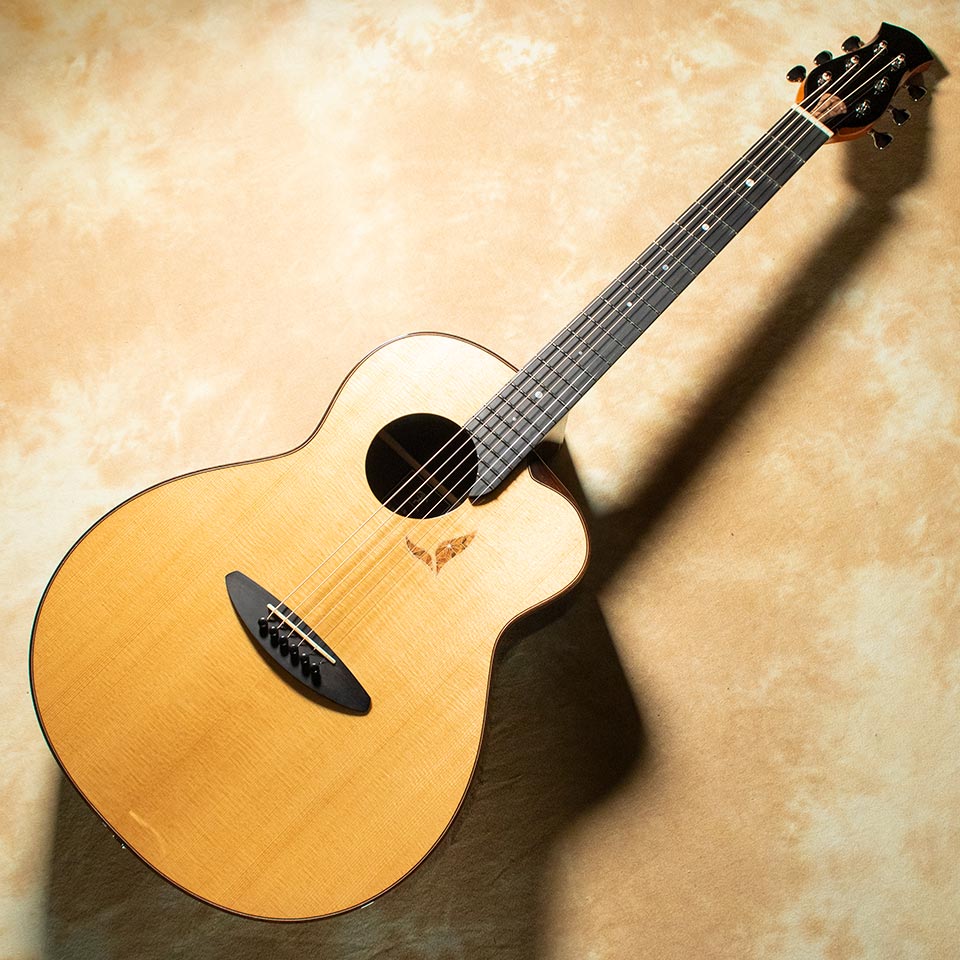 aNueNue/aNN-LS770E 232,100円