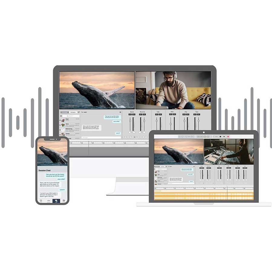 Soundwhale/Soundwhale Level 3 Audio Post Solution (Perpetual)【オンライン納品】