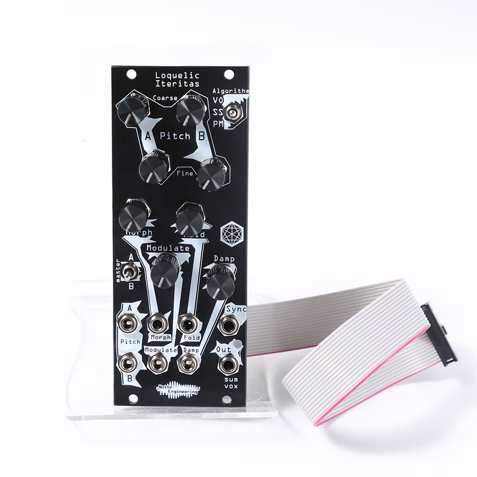 楽天市場】Noise Engineering/Loquelic Iteritas Percido Black【お