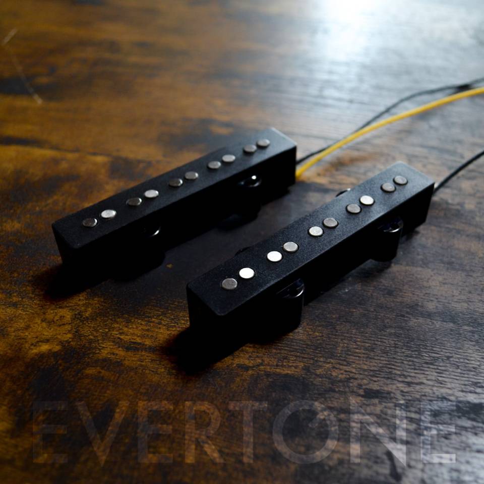 EVERTONE PICKUP/NEWTONE JB5 Gene set 【お取り寄せ商品】