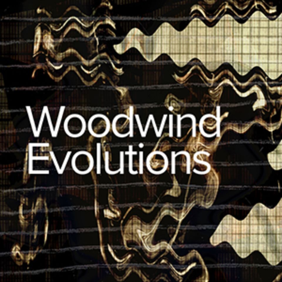 SPITFIRE AUDIO/WOODWIND EVOLUTIONS【オンライン納品】【在庫あり】