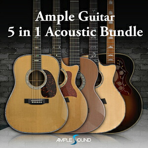 AMPLE SOUND/AMPLE GUITAR 5 IN 1 ACOUSTIC BUNDLE【オンライン納品】【店卸し資産あり】
