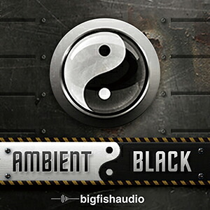 BIG FISH AUDIO/Ambient Black【オンライン納品】【在庫あり】