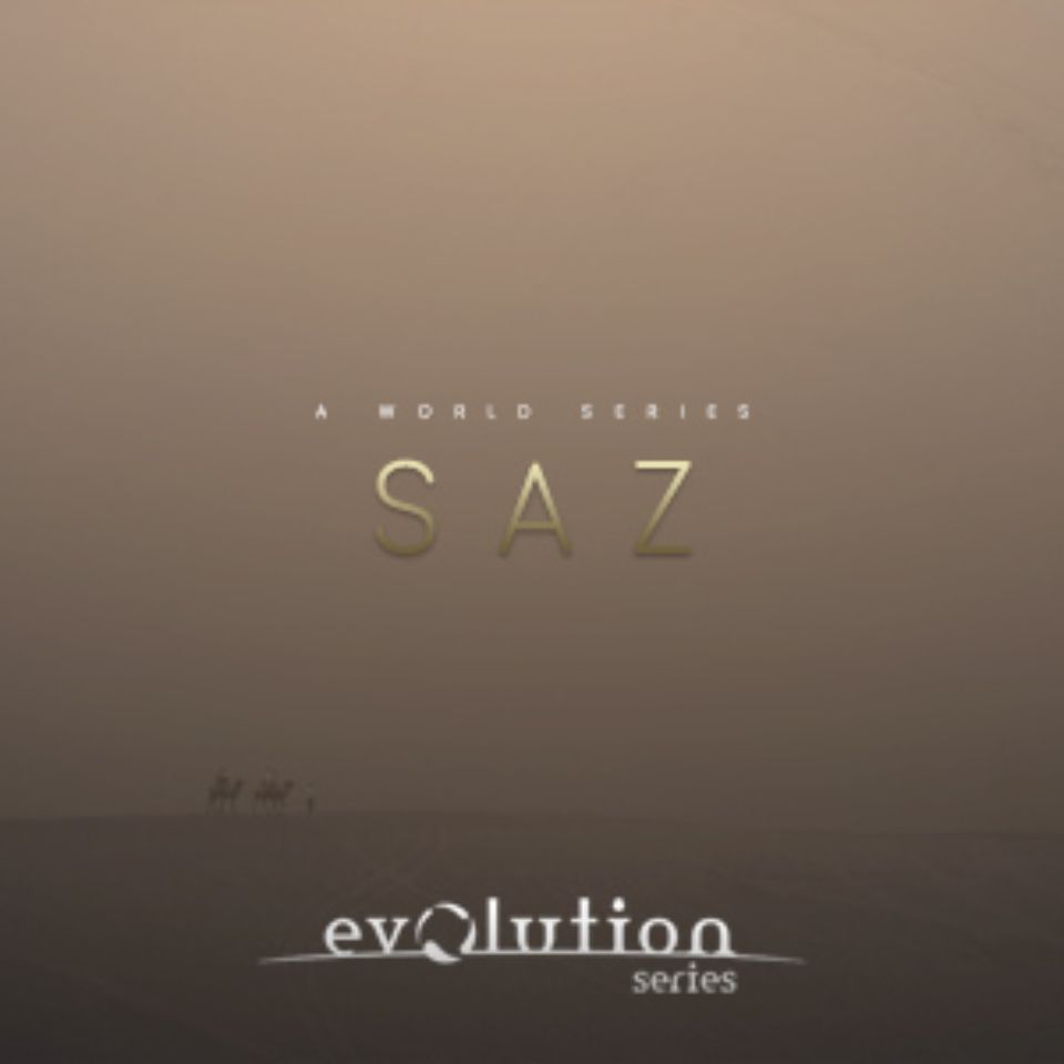 EVOLUTION SERIES/WORLD STRINGS SAZ【オンライン納品】【在庫あり】