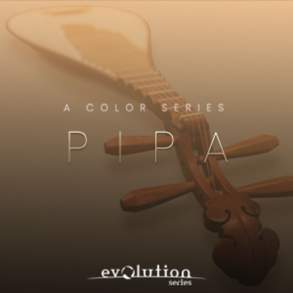 EVOLUTION SERIES/WORLD COLORS PIPA【オンライン納品】【在庫あり】