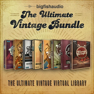 BIG FISH AUDIO/THE ULTIMATE VINTAGE BUNDLE【オンライン納品】【店卸し資産あり】