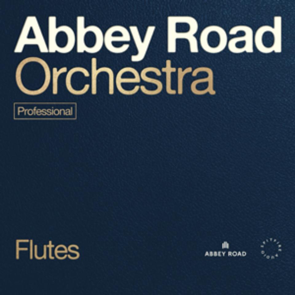 SPITFIRE AUDIO/ABBEY ROAD ORCHESTRA: FLUTES PROFESSIONAL【オンライン納品】【在庫あり】|宮地楽器 ミュージックオンライン