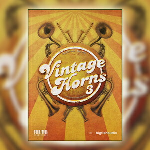 BIG FISH AUDIO/VINTAGE HORNS 3【オンライン納品】【店卸し資産あり】 PCソフト-音楽制作