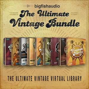 BIG FISH AUDIO/THE ULTIMATE VINTAGE BUNDLE【オンライン納品】【店卸し資産あり】