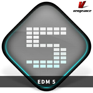 VENGEANCE SOUND/EDM 5【オンライン納品】【在庫あり】｜宮地楽器　ミュージックオンライン