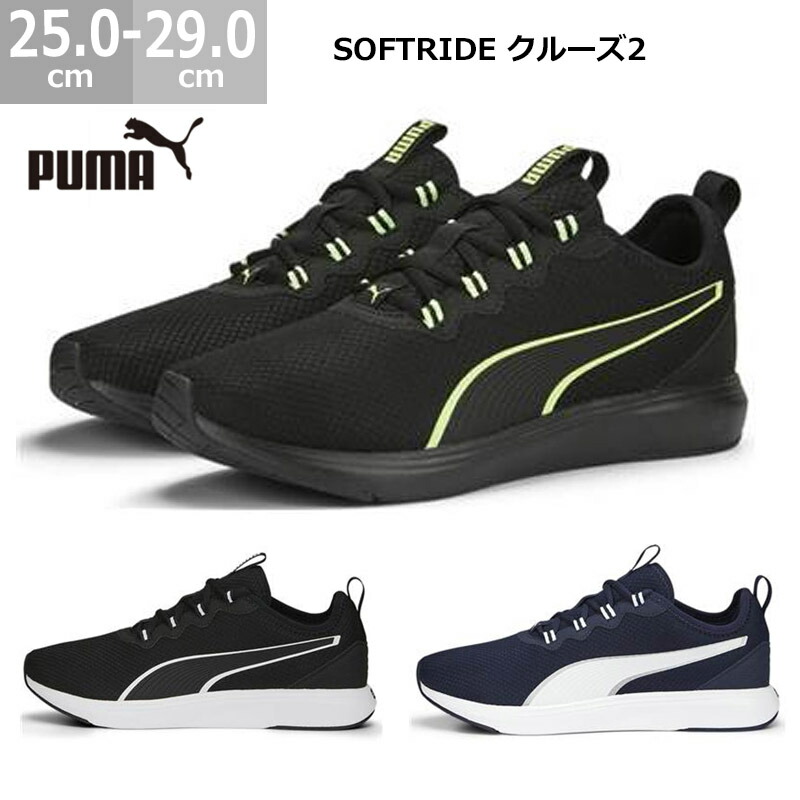 pm378209m-1.jpg