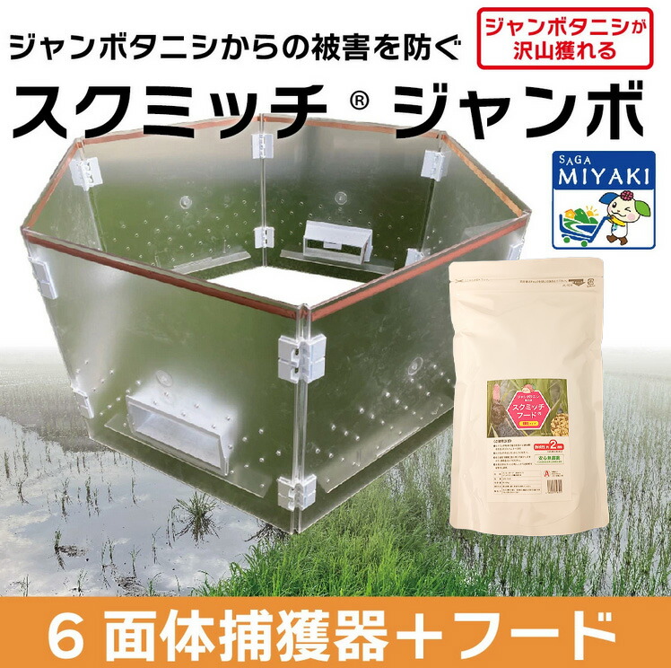 圧倒的人気 在庫あり  【MEMSWOYMPK4】 限定デザイン