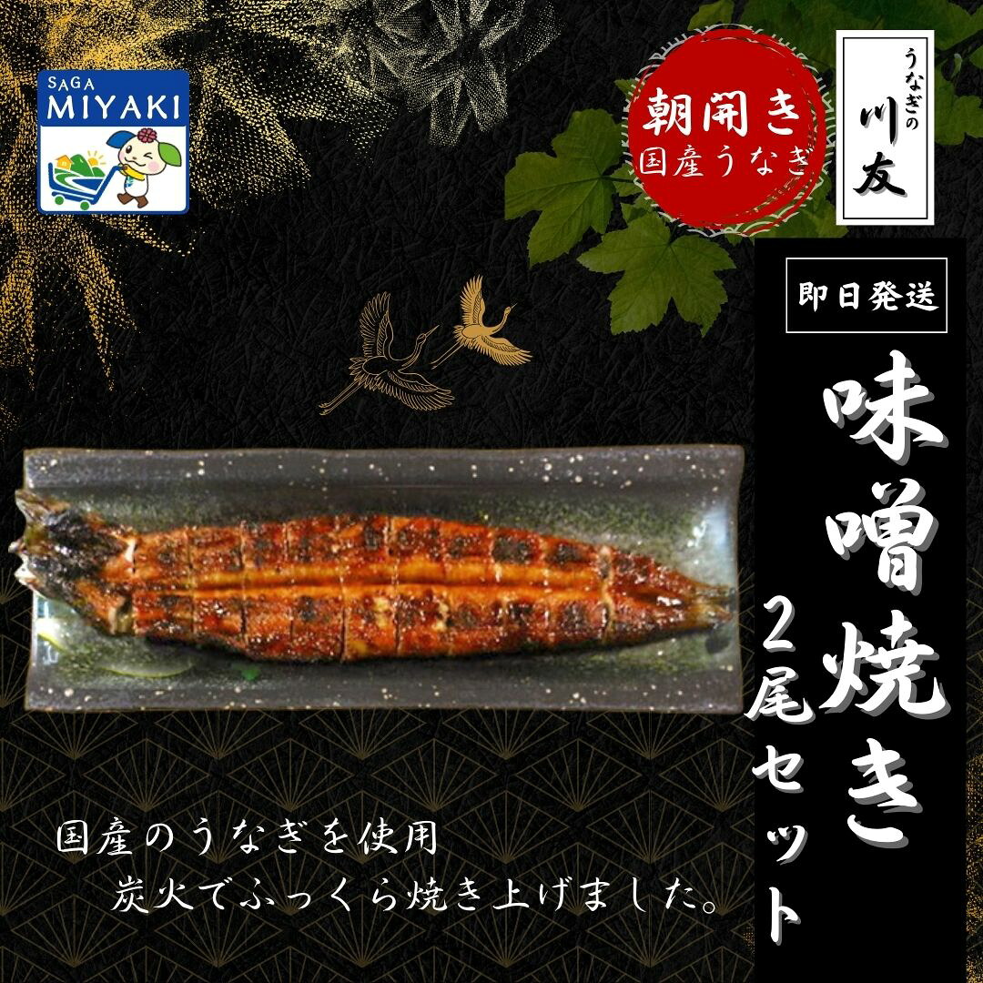 【新生活応援25％OFFクーポン配布中】【冷蔵発送】朝開き国産うなぎ 当日発送２尾（1尾あたり約200～230ｇ) 味噌焼き 国産鰻 ウナギ