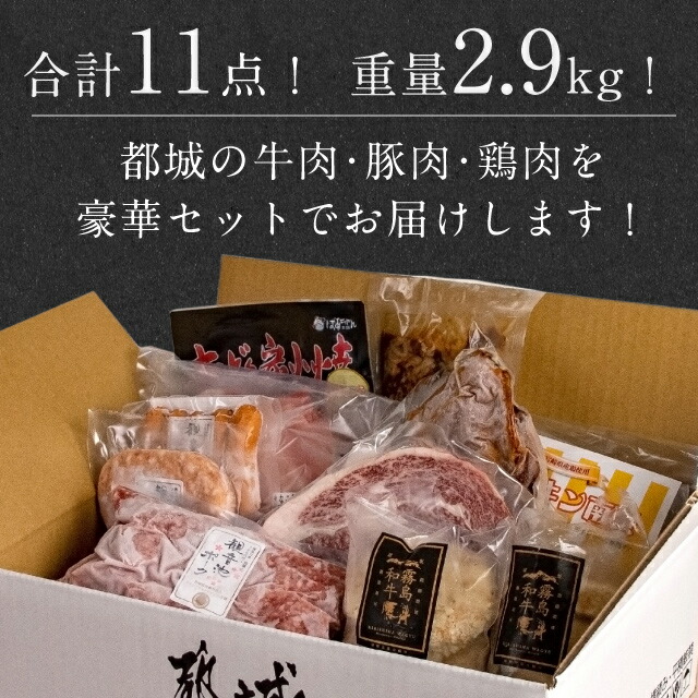 【期間限定500円OFFクーポン】福袋肉メガ盛り2.9kg2021都城市農業産出額日本一記念牛豚鶏まんぷく福袋お中元大満足の11点2.9kg！宮崎牛ステーキ入り！都城の1129（いい肉）食べつくし！宮崎牛鶏の炭火焼きチキン南蛮豚ミンチ贈り物冷凍お土産送料無料