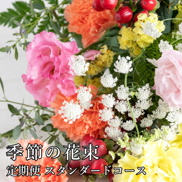 楽天市場 季節の花束 定期便スタンダードコース 毎回異なる花が届きます 定期販売 お花 花束 花詰め合わせ フラワー 定期購入 12か月 季節の花 宮崎県産花 生花 通販 毎月10日もしくは日のみお届け可 極上 みやこのじょう