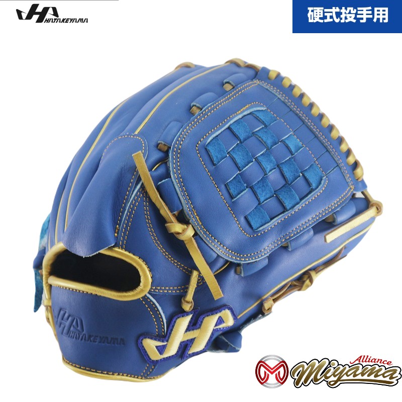 楽天市場】ハタケヤマ 硬式 グローブ 左投 ピッチャー ハタケヤマ V