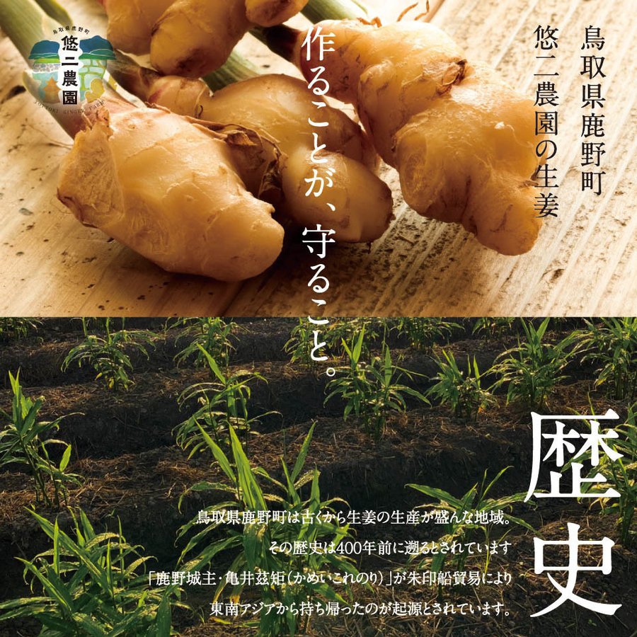 市場 送料無料 生姜パウダー 国産 粗挽き × 悠二農園の 粒状 1袋 悠二農園の生姜100%使用 70g