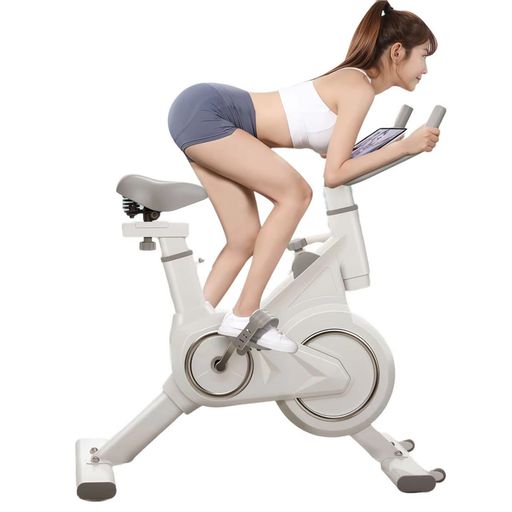 フィットネスバイクエアロバイクスピンバイクマグネット式無段階調整静音ダイエット器具組み立て簡単トレーニングトレーニングバイク(2年間の保証)