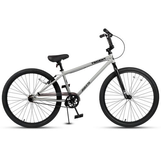 【AVASTA】TRIDENTスピード競技BMX銀輪BMXRACING一ころ未経験者方位訓練を受ける用お坊っちゃん大きさ街乗り銀輪ファットタイヤ取りはずし能力のあるチェーンケースキックスタンド/後輪打ちきり/ペグセット付き添い人24…