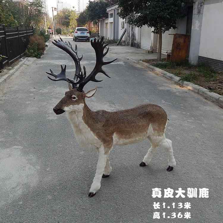 手あそび 毛の荒物 愛くるしげ コンピューターシミュレーション 馴鹿 ヘラジカ クリスマス 小道具 ニホン ジカ かざり付ける品 獣の皮 大型 毛の荒物 あやつり人形
