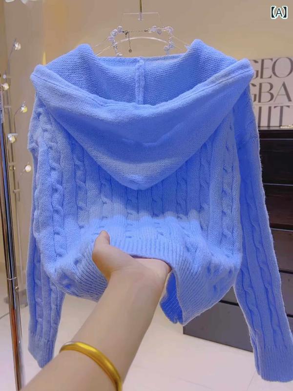 パーカー　フード付き　ニット 青い フード付き ソフト もちもち セーター ジャケット 女性用 秋冬 韓国 小さい ジッパー 付き ニットカーディガン