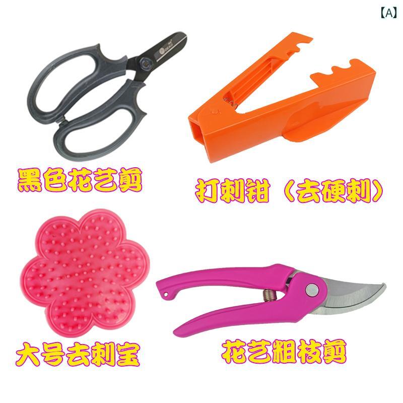 おもちゃ ホビー おもちゃ ホビー ドイツと オーストリアの バラの トゲ ペンチ 花の トリミング 取り 取りお 宝 フラワーショップ 専用 フラワー ツール セット