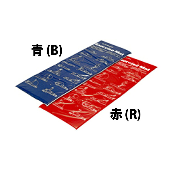 エバニュー ウェルネス エクササイズマット グッズその他 エクササイズマット1 ETB222 B 青
