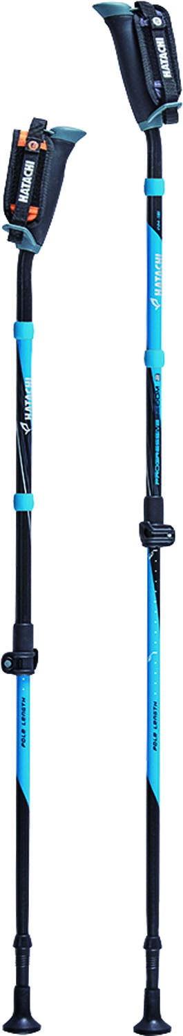 ハタチ ウェルネス ウォーキング極点 極点 DFPプログレッシブズーム2 WH1121-19 19 ともし火青み