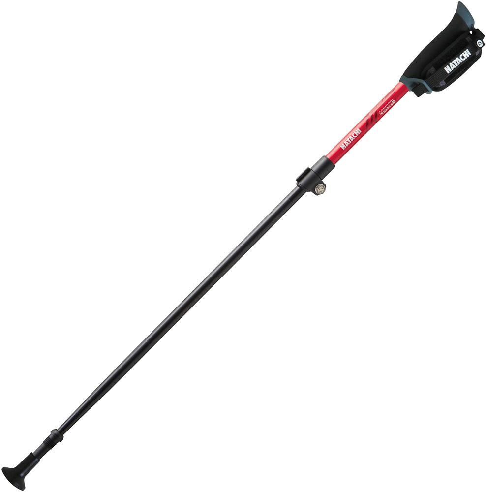 ハタチ ウェルネス 極点 ＤＦＰ 携帯型部門２ ２本組 WH1181 62 ﾚｯﾄﾞ