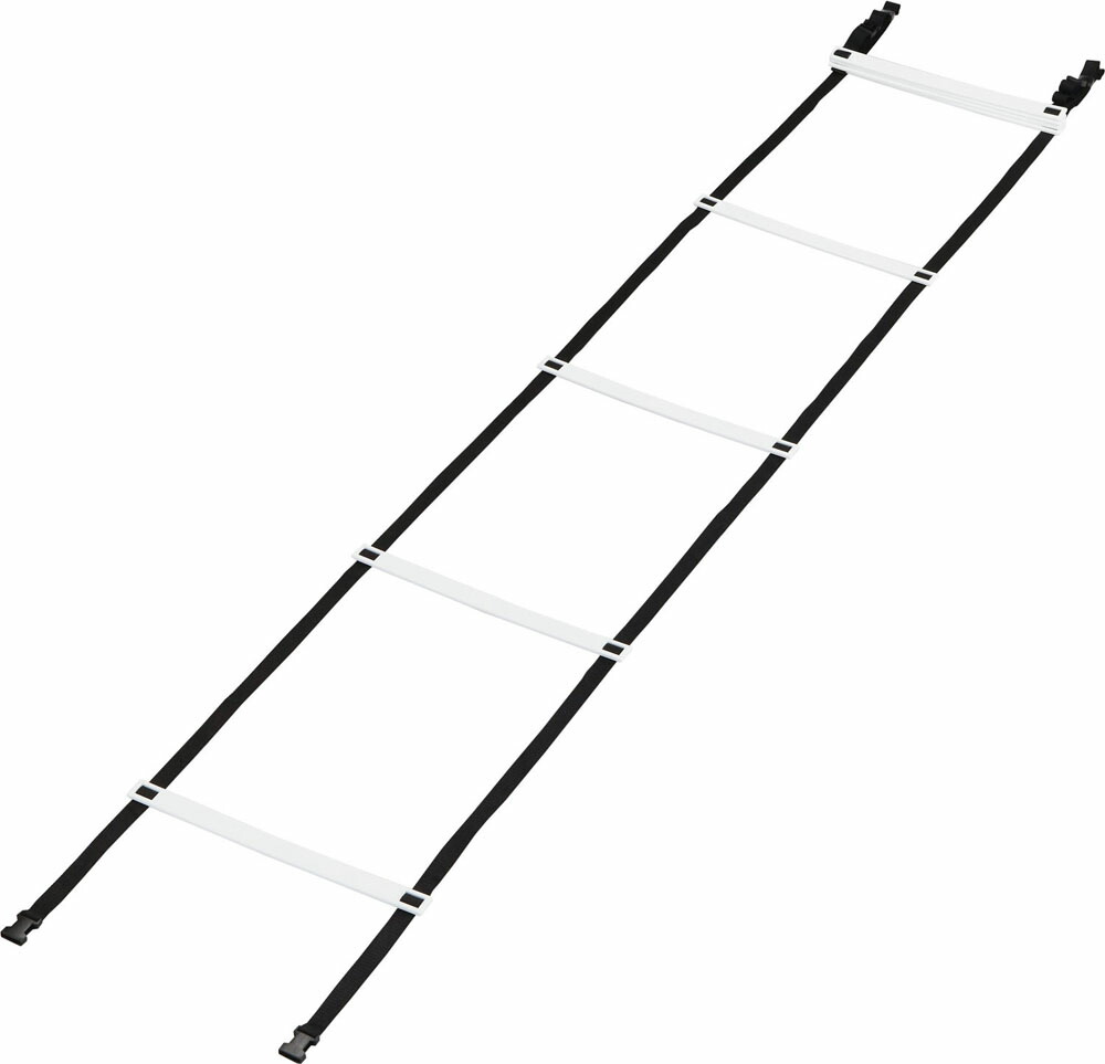 カネヤ 学校体育器具 器具・備品 トレーニングラダーAT6 K-3041