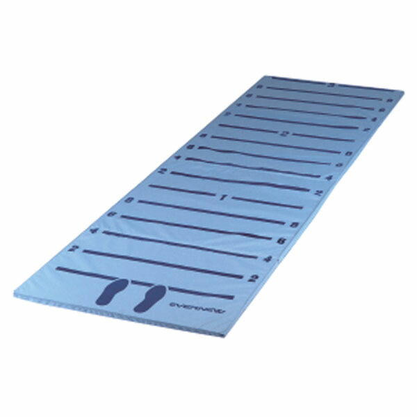 ウミウチワ　60cmX35cm　送料無料 ev-ekj099-.jpg