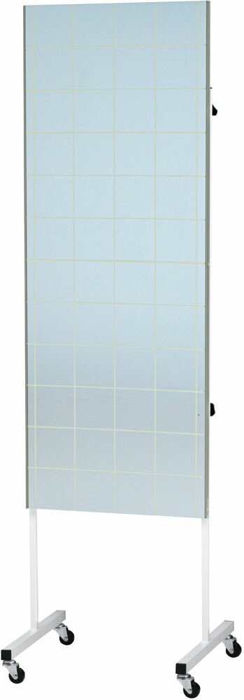 トーエイライト 学校体育器具 鏡 器具・備品 姿勢矯正フィルムミラー450 T1942