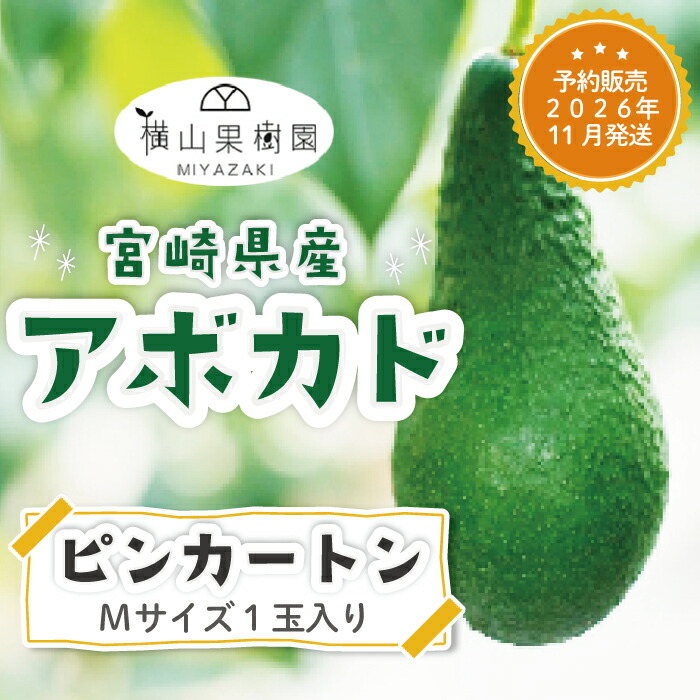 アボカド 楽天市場】【P3倍☆1/25 0:00~1/26 9:59】 宮崎県産横山果樹園 国産