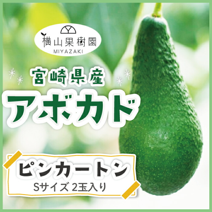 【予約販売 2025年11月発送】宮崎産アボカド「ピンカートン」Sサイズ(200g~249g)×2玉入り 国産アボカド 国産フルーツ フルーツギフト