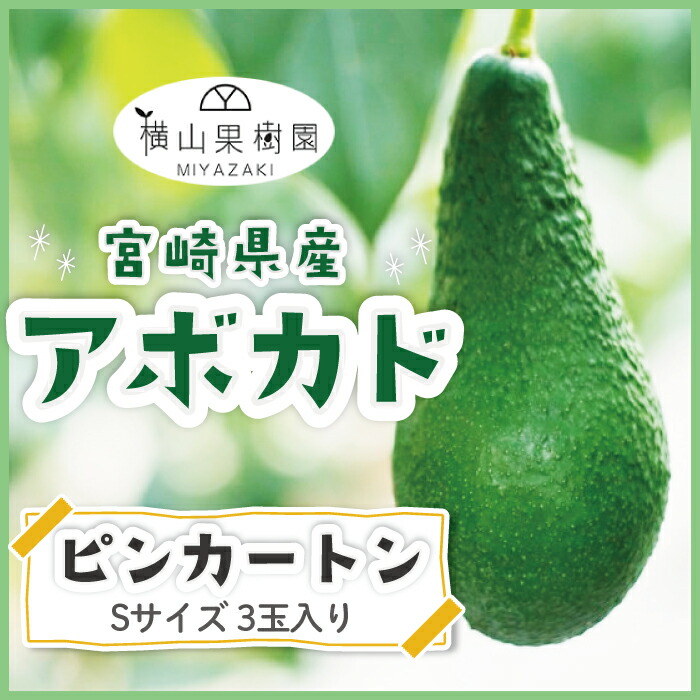 【予約販売 2025年11月発送】宮崎産アボカド「ピンカートン」Sサイズ(200g~249g)×3玉入り 国産アボカド 国産フルーツ フルーツギフト