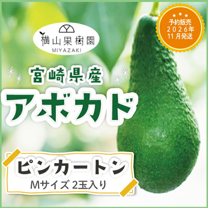 楽天市場】満点☆青空レストラン放送【予約販売 2026年11月発送】宮崎
