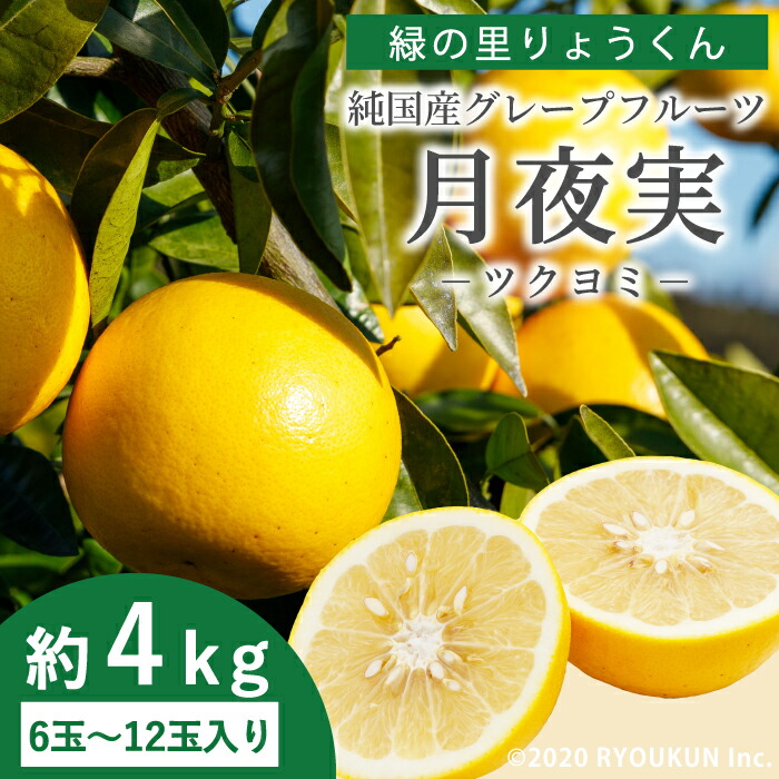 純国産 グレープフルーツ 月夜実 ツクヨミ 約4kg(6~12玉) 宮崎県日南市産  緑の里りょうくん
