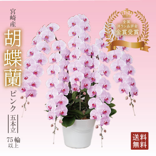 百貨店SALE 宮崎産直 2026.06