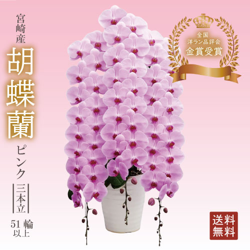 百貨店SALE 宮崎産直 2026.06