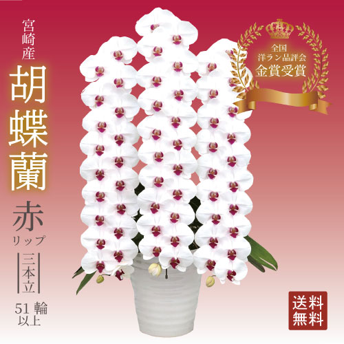 百貨店SALE 宮崎産直 2026.06