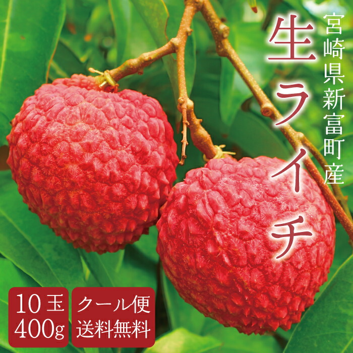 楽天市場】シリカ 濃縮液【シリカエナジー 濃縮溶液 50ml】送料 楽天市場】シリカ 濃縮液【シリカエナジー 濃縮溶液 50ml】送料