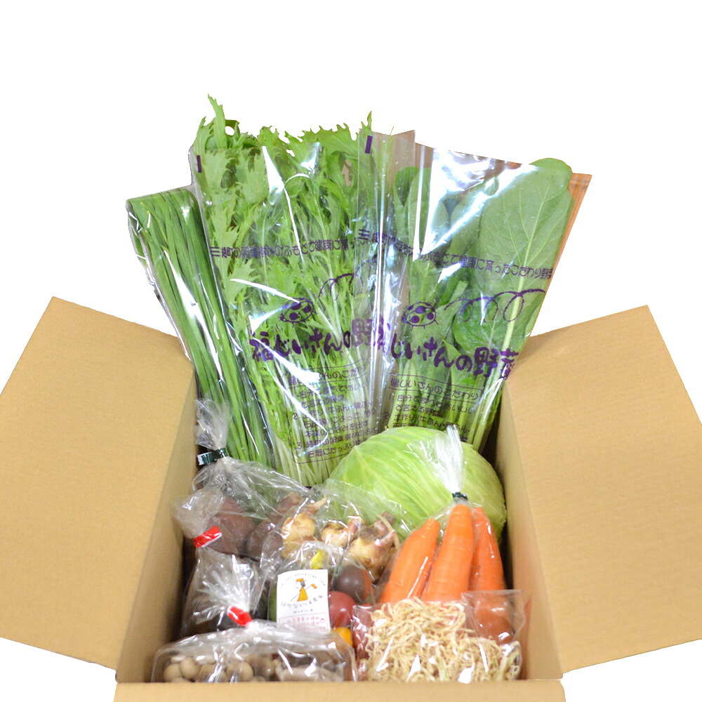 宮崎県綾町産 有機栽培 野菜セット Mサイズ 9 ~ 10 品目 野菜セット 減農薬 やさい オーガニック 有機 野菜 jas 一人暮らし 野菜 宮崎産 野菜