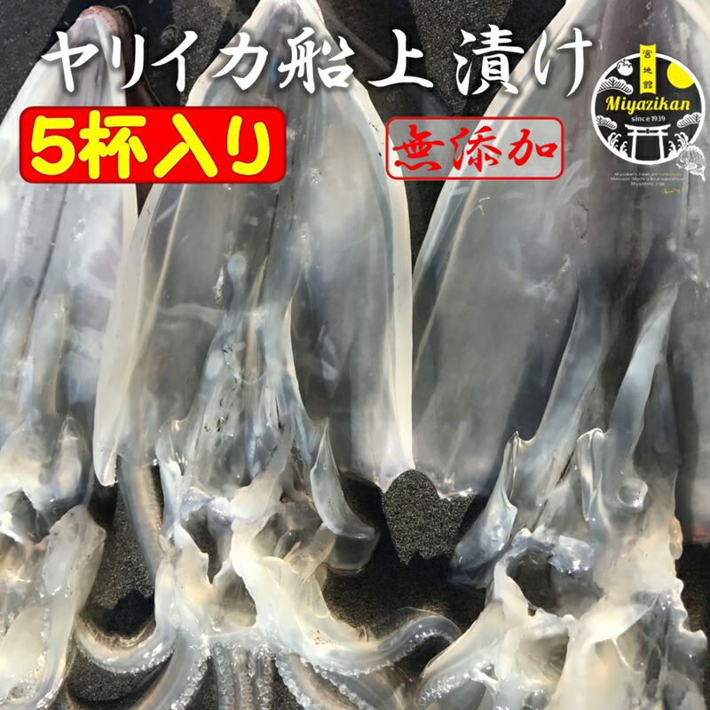 ヤリイカ 船上漬け 5杯入り 無添加  冷凍 のし対応 <br>父の日 ギフト 化粧箱入り 福岡 玄界灘 <br>手造り 沖漬け 高級 おつまみ 刺身 小鉢 <br>槍烏賊 槍イカ 剣先烏賊 剣先イカ イカ いか 1本釣り<br>贈り物 ご贈答 お持たせ プレゼント お取り寄せ <br>送料無料
