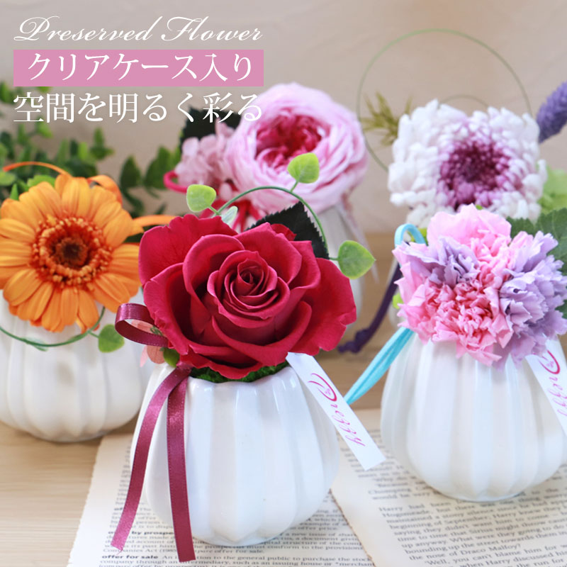 楽天市場】【10％OFF】 プリザーブドフラワー ドーム型 グラン