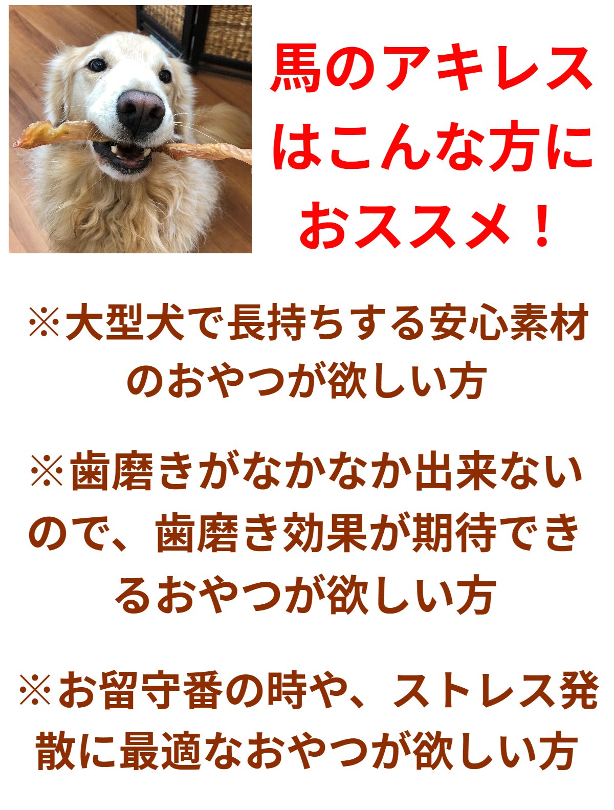 国産 馬アキレス ロング 硬い 業務用１ｋｇ 大型犬のおやつ 大袋 犬 歯磨き ブリーダー 歯石予防 ジャーキー 長持ちおやつ 手作りおやつ 安心安全 無添加おやつ ガム 送料無料 ストレス発散