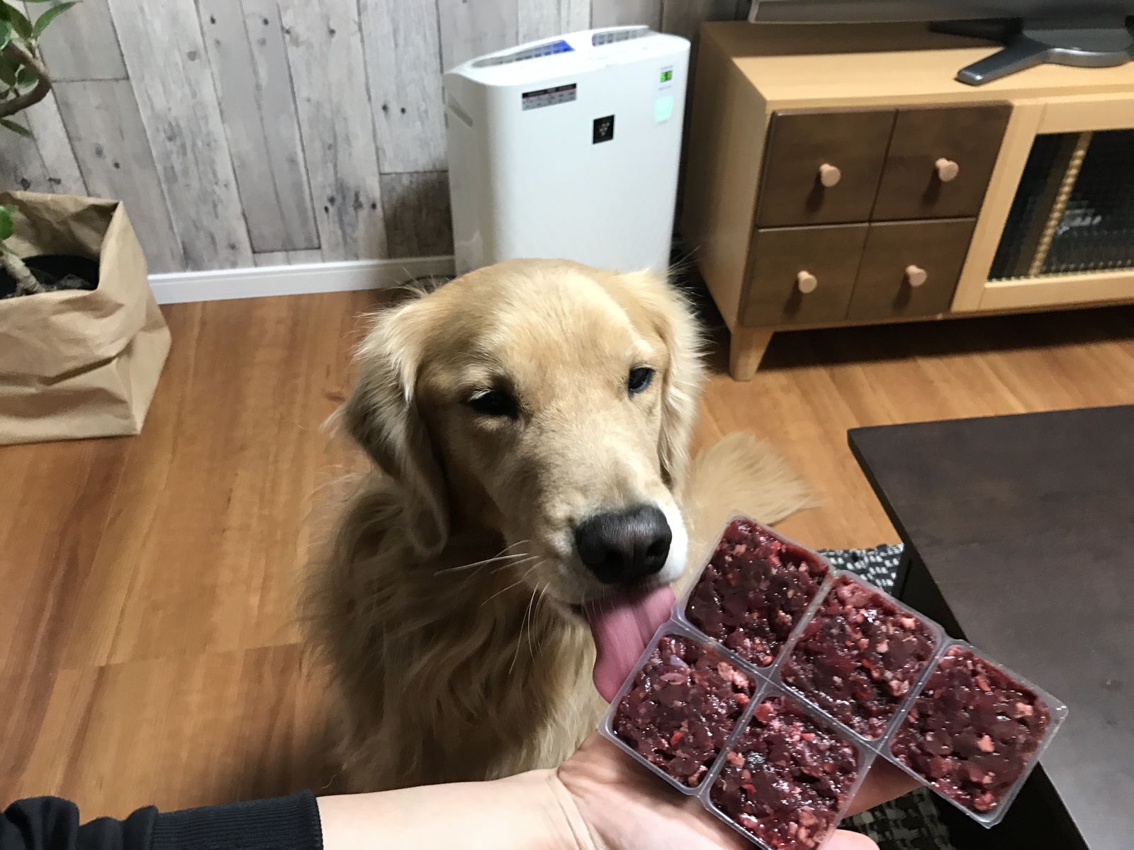 楽天市場 犬用 鹿肉 パーフェクトミックス ミンチ1kg 0g 5個 犬 鹿肉 生肉 小型犬 老犬 大型犬 フード ペットフード ペット ドッグフード おやつ 無添加 手作り食 ミユドラ Miyudora Pet 楽天市場店