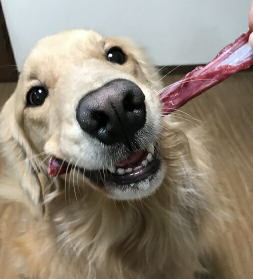 80 以上節約 鹿の骨 肉付きあばら骨 300g 国産 犬 生肉 鹿肉 骨 犬用 あばら骨 ガム おやつ 無添加 ドッグフード ペットフード 大型犬 長持ち 送料無料 Whitesforracialequity Org