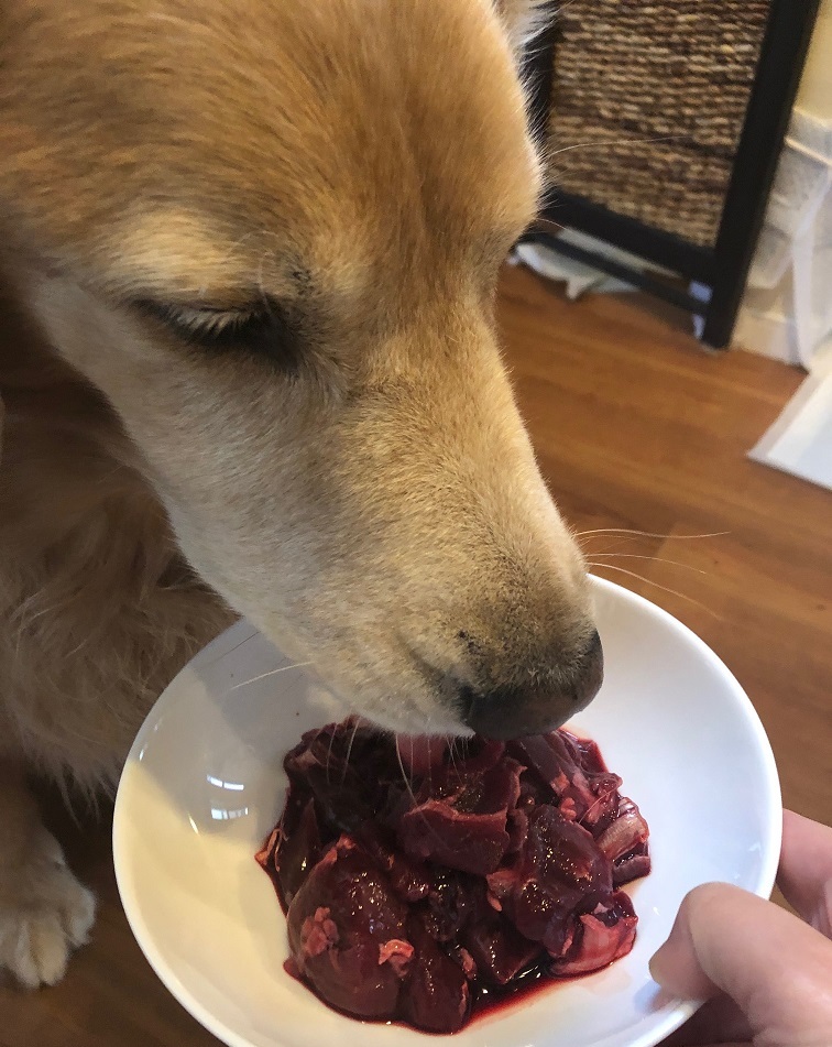 今ならほぼ即納 生肉 パーフェクトミックスぶつ切り 鹿肉 犬用 5kg １ｋｇ 5個 ミユドラ 手作り食 無添加 おやつ ドッグフード ペット ペットフード フード 大型犬 老犬 小型犬 生肉 鹿肉 犬 限定版 Www Ghadeergroup Com