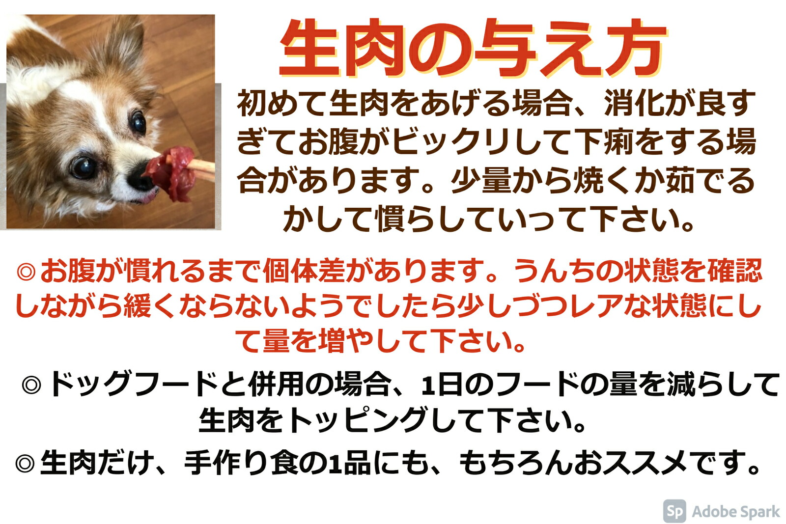 80 以上節約 鹿の骨 肉付きあばら骨 300g 国産 犬 生肉 鹿肉 骨 犬用 あばら骨 ガム おやつ 無添加 ドッグフード ペットフード 大型犬 長持ち 送料無料 Whitesforracialequity Org
